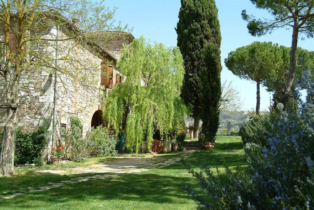 B&B Il Molinello Asciano Exteriér fotografie