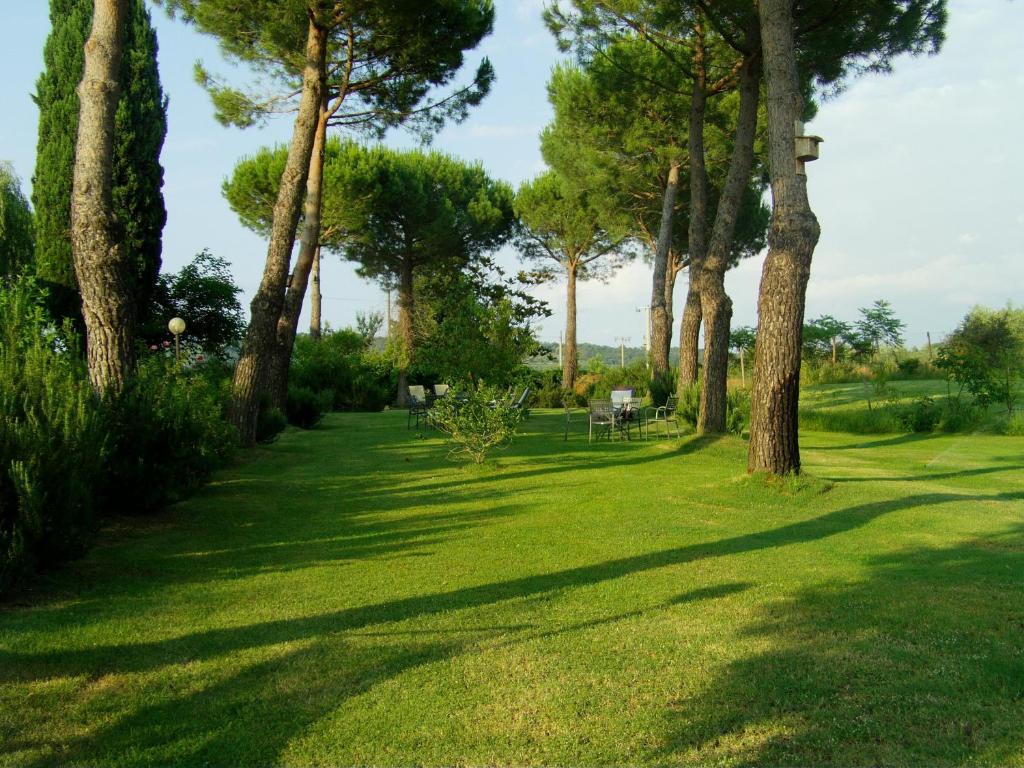 B&B Il Molinello Asciano Exteriér fotografie