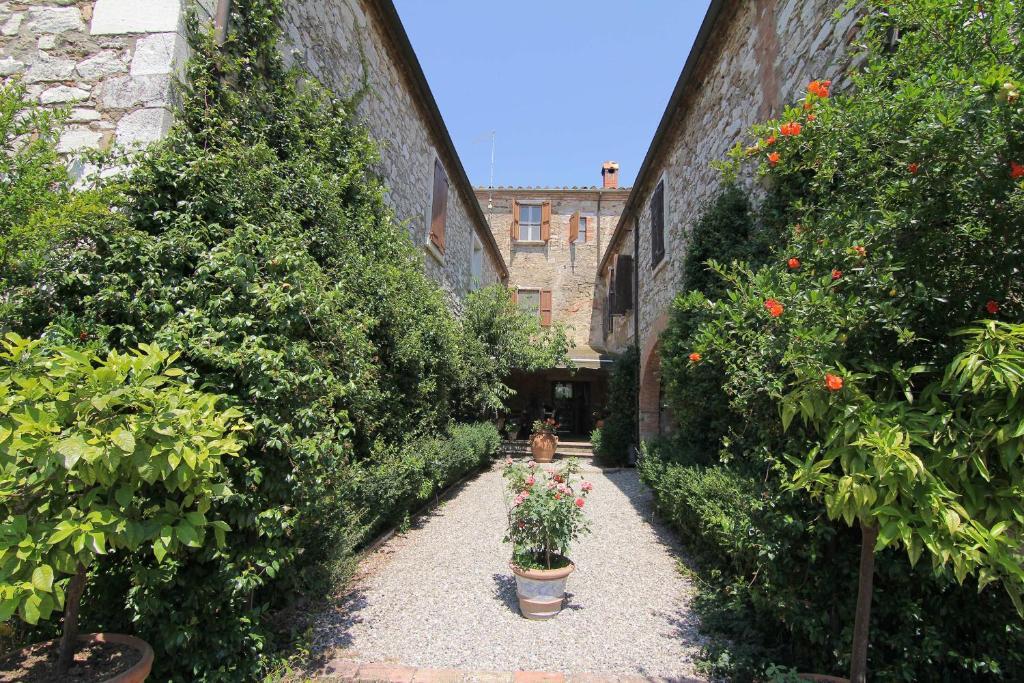 B&B Il Molinello Asciano Exteriér fotografie