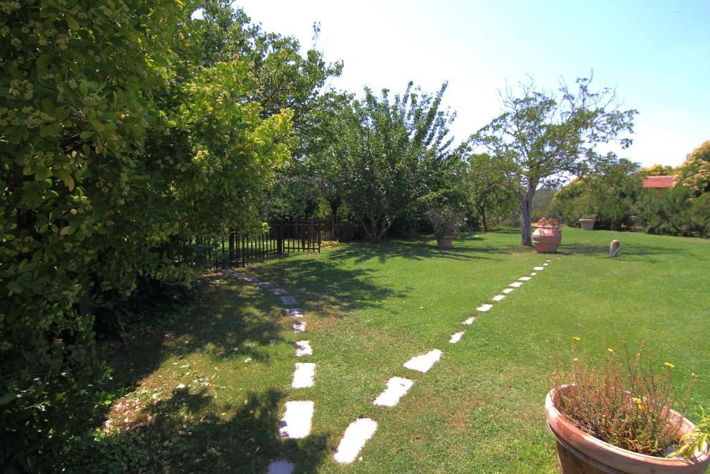 B&B Il Molinello Asciano Exteriér fotografie