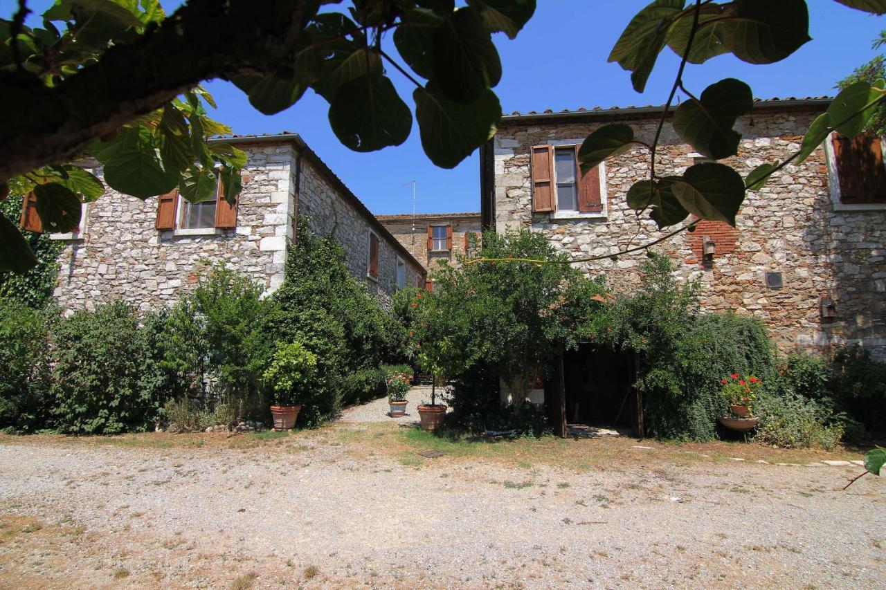 B&B Il Molinello Asciano Exteriér fotografie