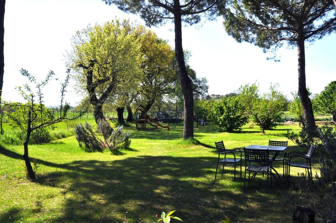 B&B Il Molinello Asciano Exteriér fotografie